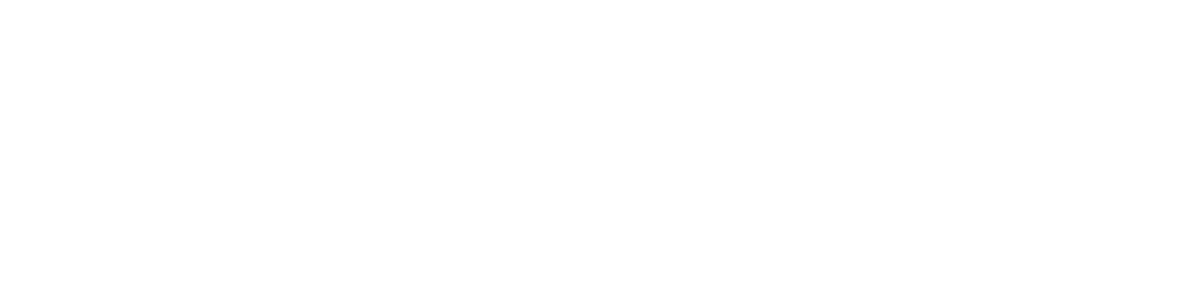 ineship Logo - Dating, Travel Companions & Local Travel Services